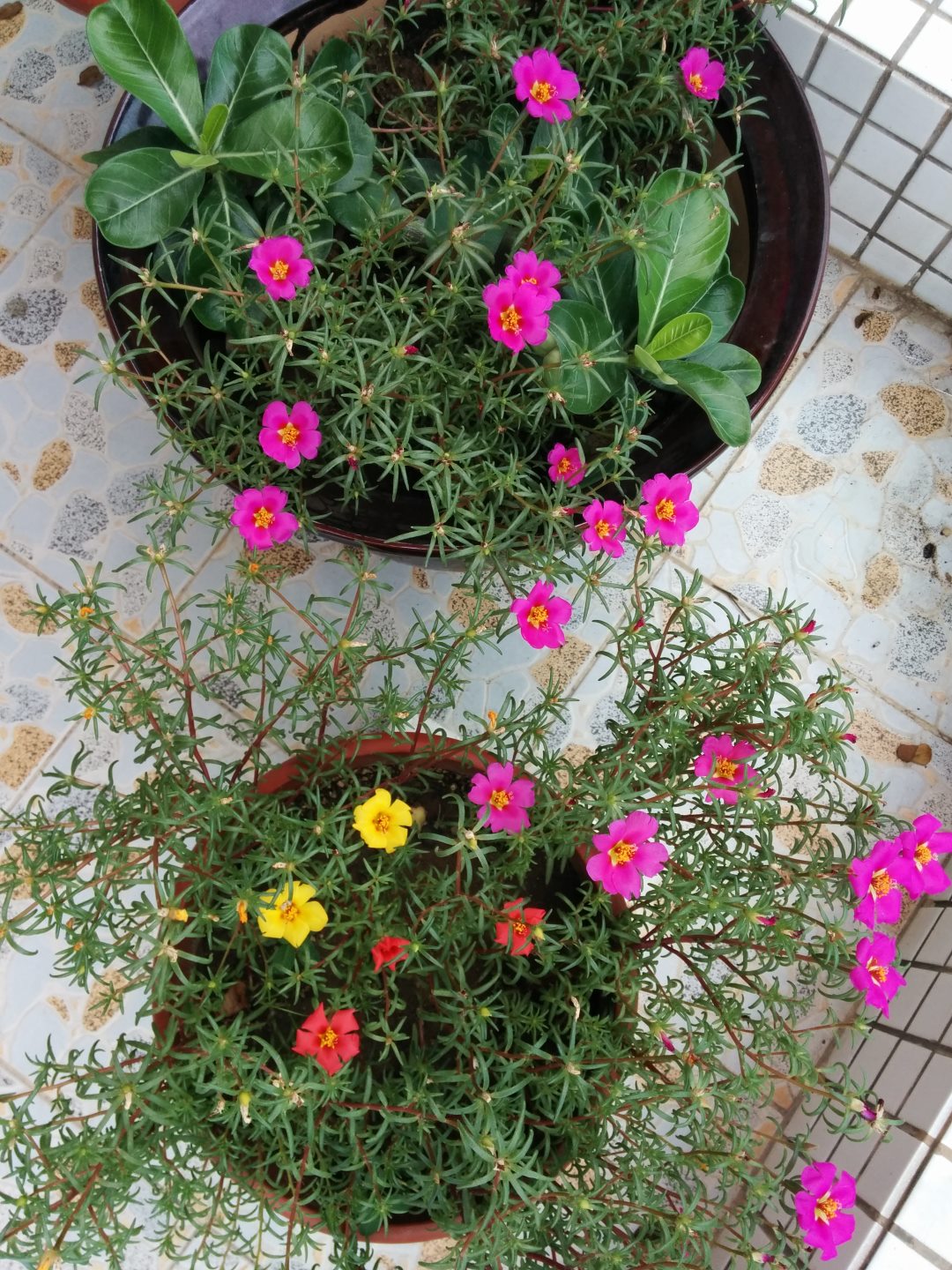 IMG 2014-07-11 13-34-01